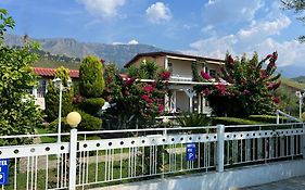 Nili Hotel